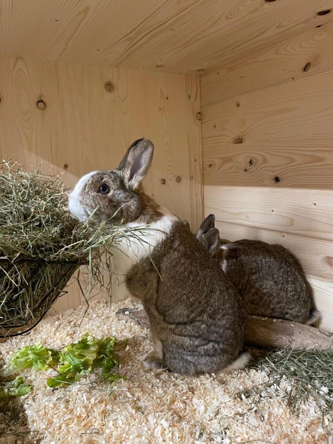 タクセンバッハKitzlochklammblick Hofアパートメント エクステリア 写真